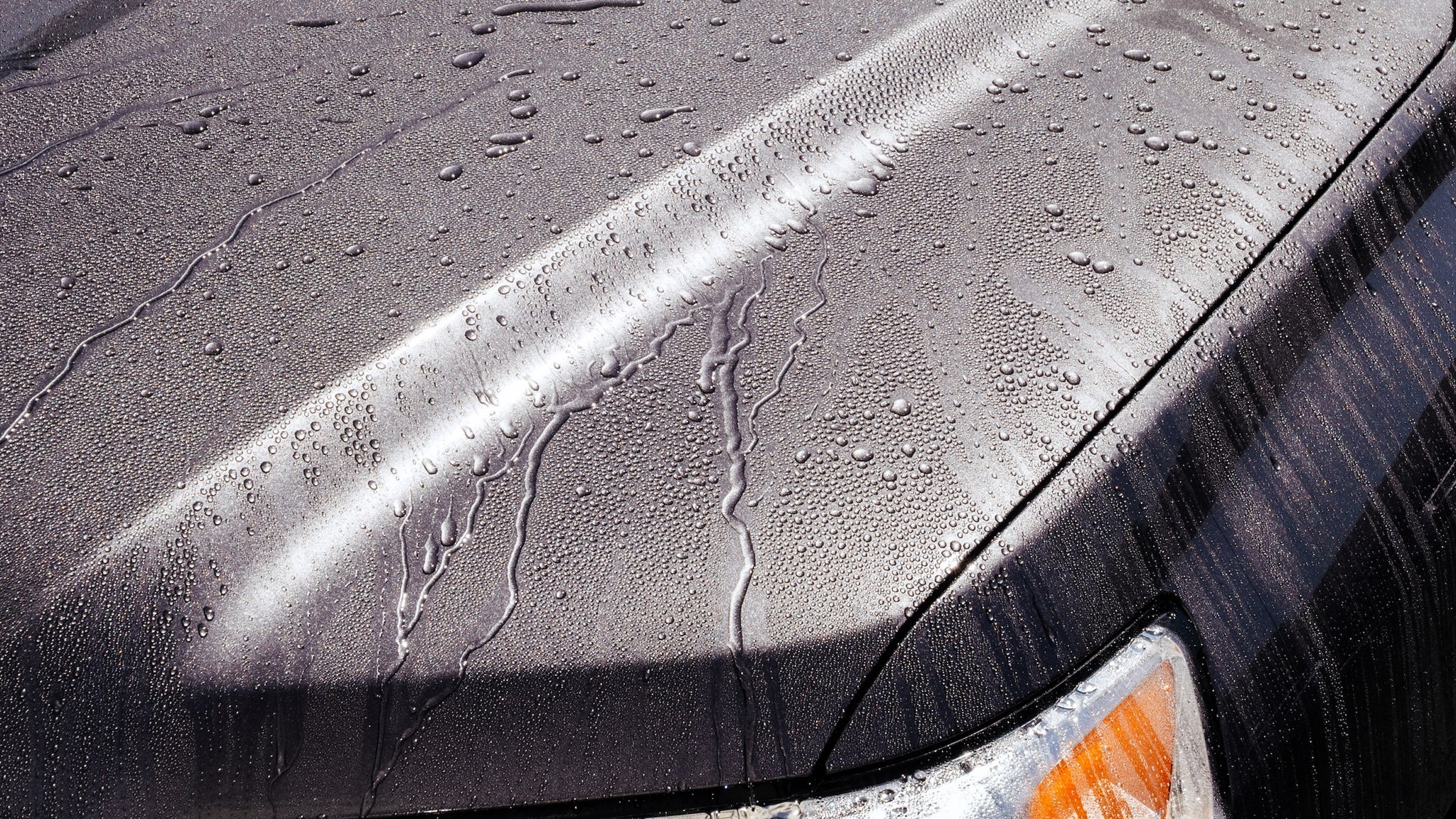 Tough As Shell Ceramic Spray – Long-Lasting Paint Protection – Jimbo's ...